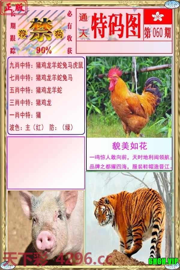 特码图